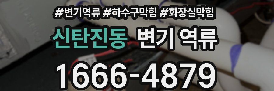신탄진동 변기 역류