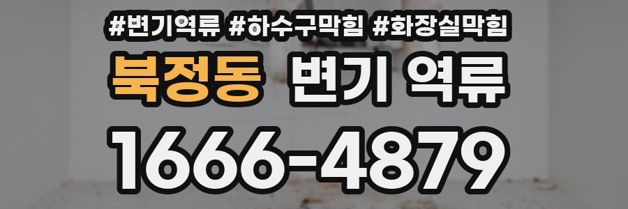 북정동 변기 역류