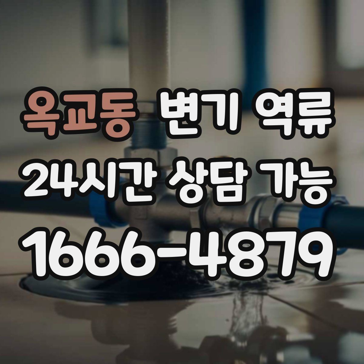 옥교동 변기 역류 오래 비운 집에서 갑자기 생길 수 있는 이유