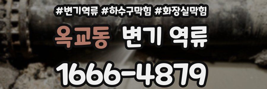 옥교동 변기 역류