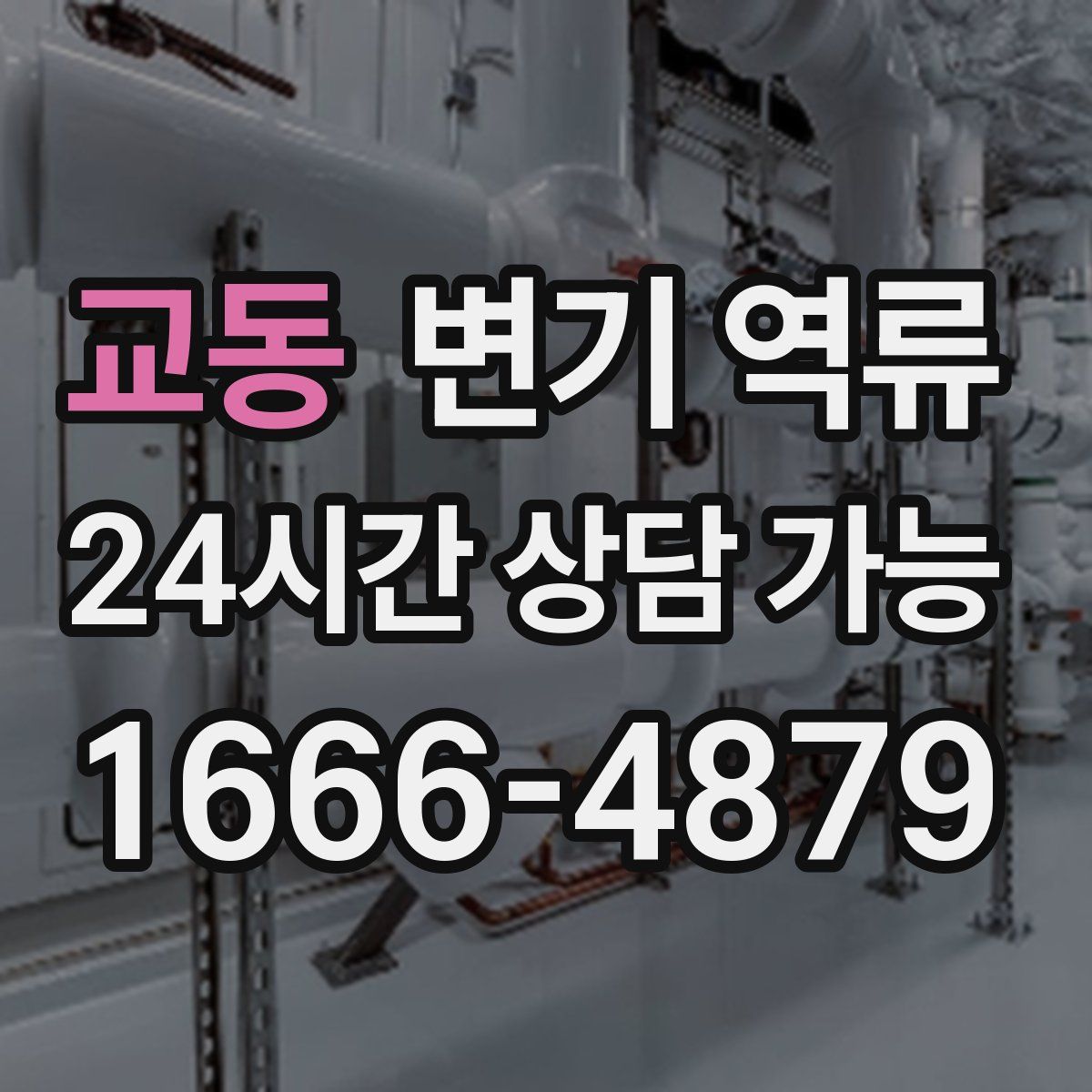 교동 변기 역류