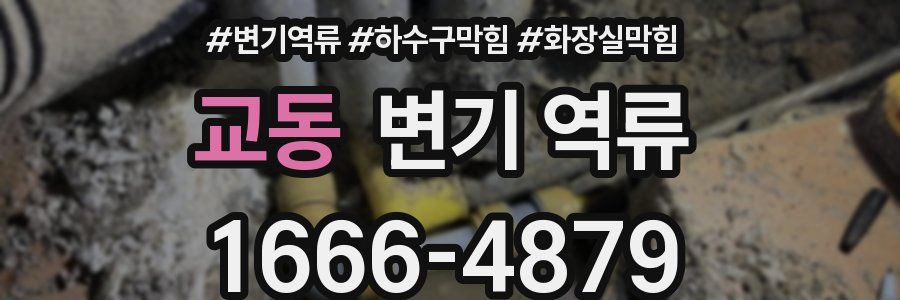 교동 변기 역류