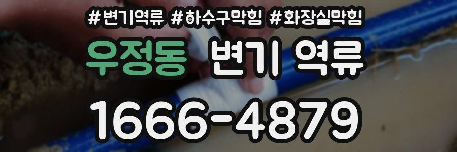 우정동 변기 역류