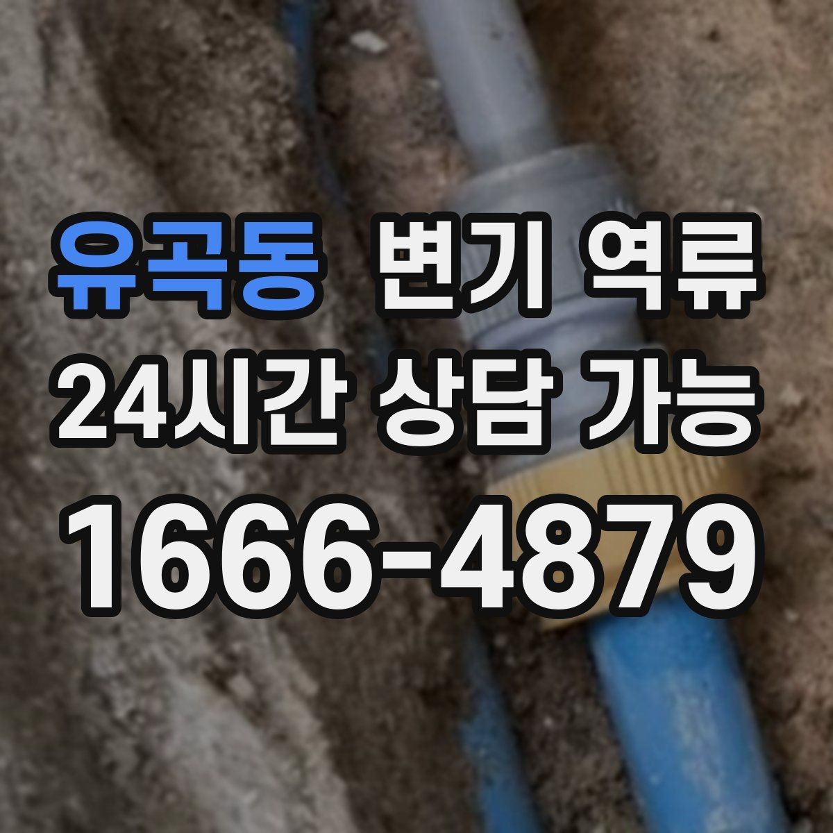 유곡동 변기 역류 주방 싱크대 배수와 연동되는 느낌이 들 때