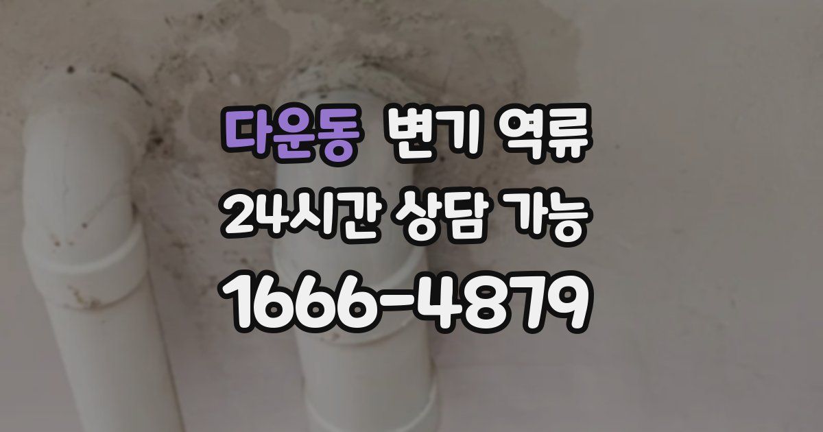 다운동 변기 역류