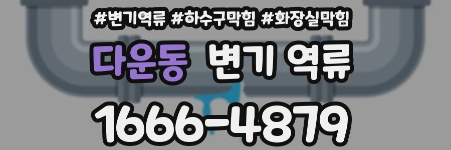 다운동 변기 역류