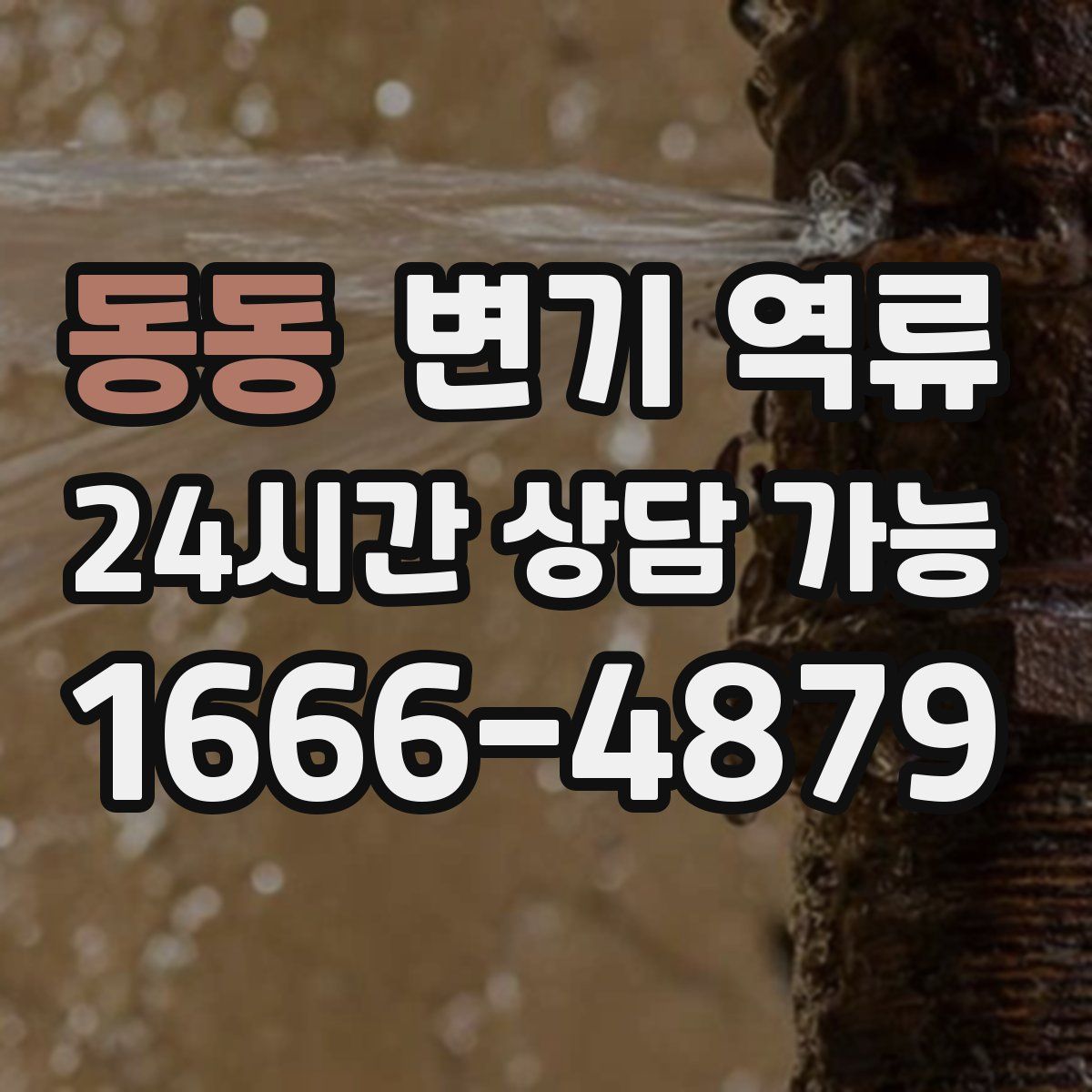 동동 변기 역류