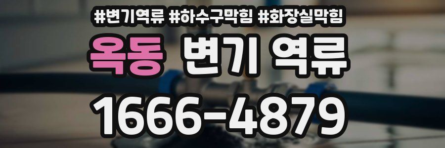 옥동 변기 역류