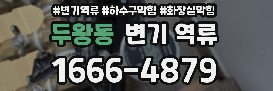 두왕동 변기 역류