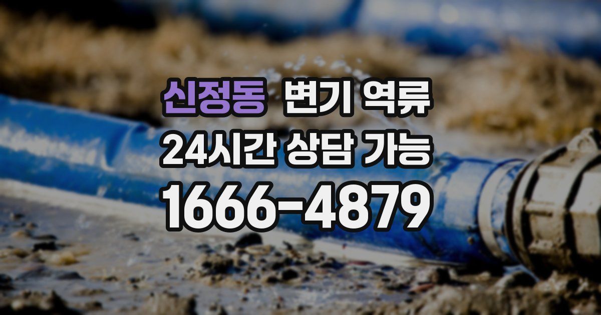 신정동 변기 역류