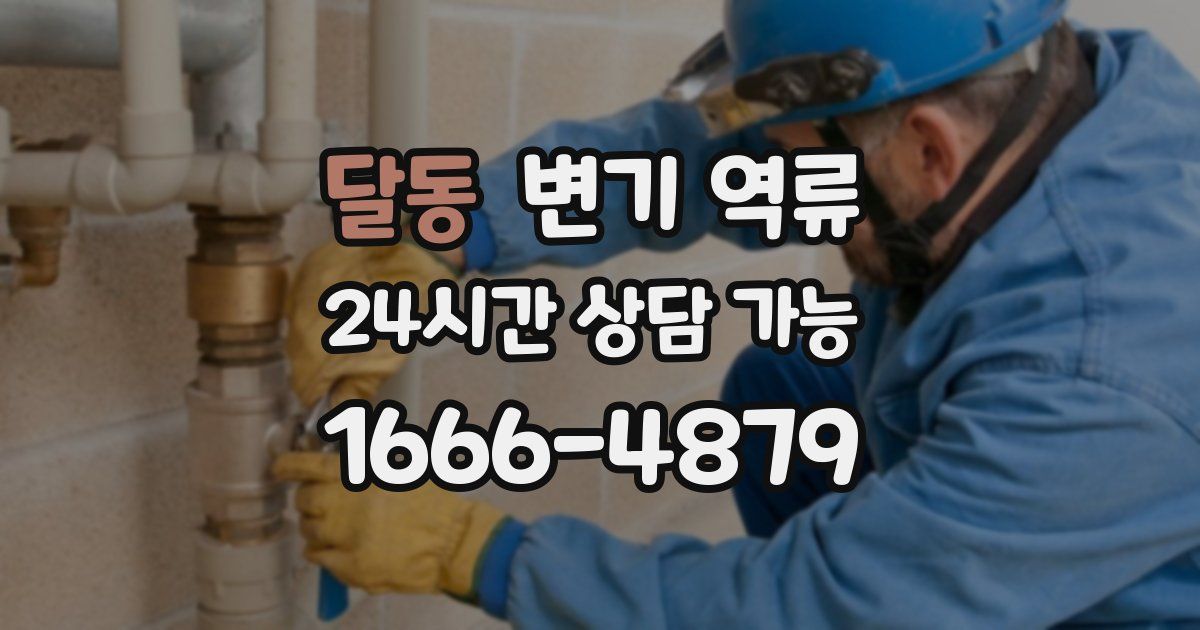 달동 변기 역류