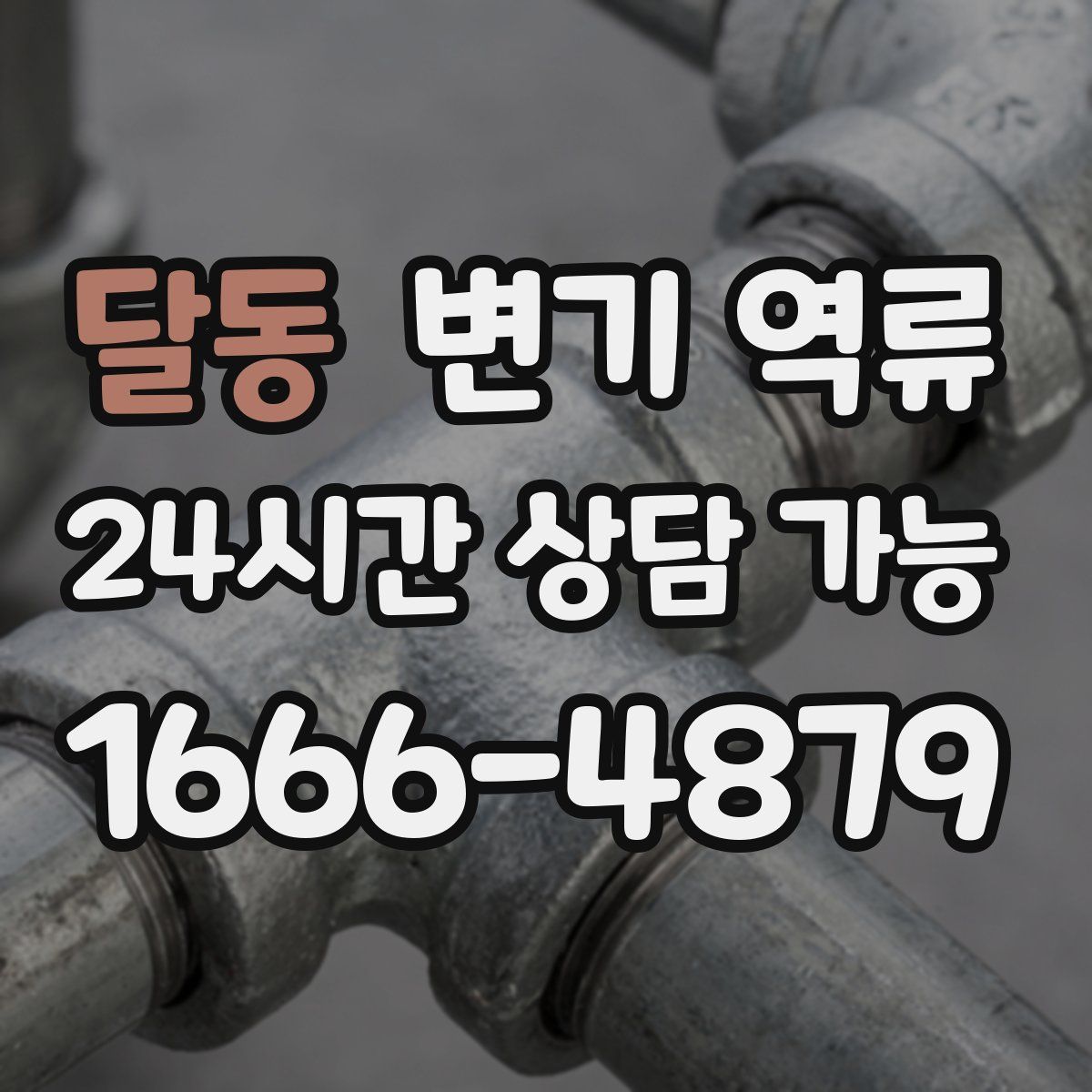 달동 변기 역류