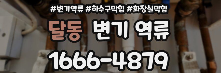 달동 변기 역류