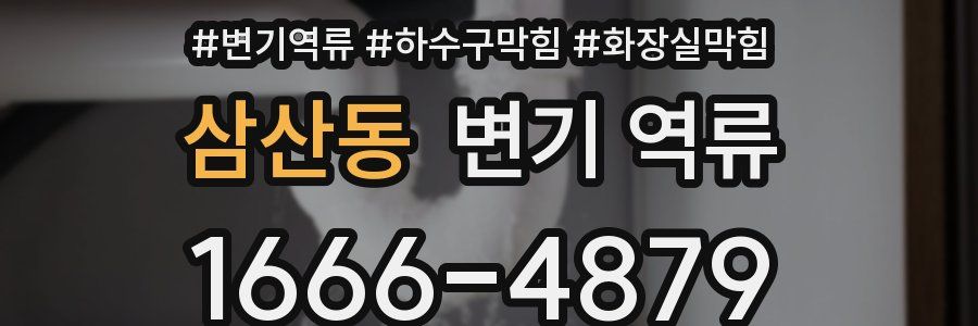 삼산동 변기 역류