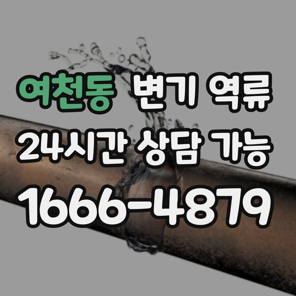 여천동 변기 역류 바닥으로 번지기 전에 막아야 하는 이유
