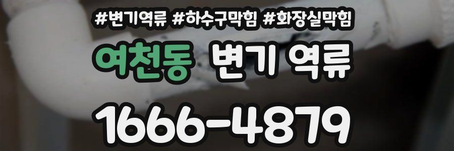 여천동 변기 역류