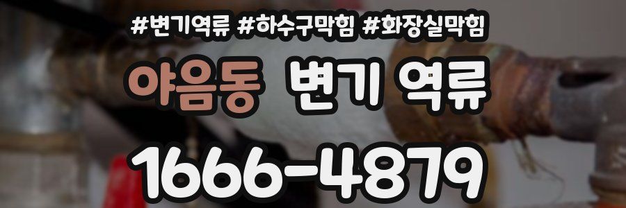 야음동 변기 역류