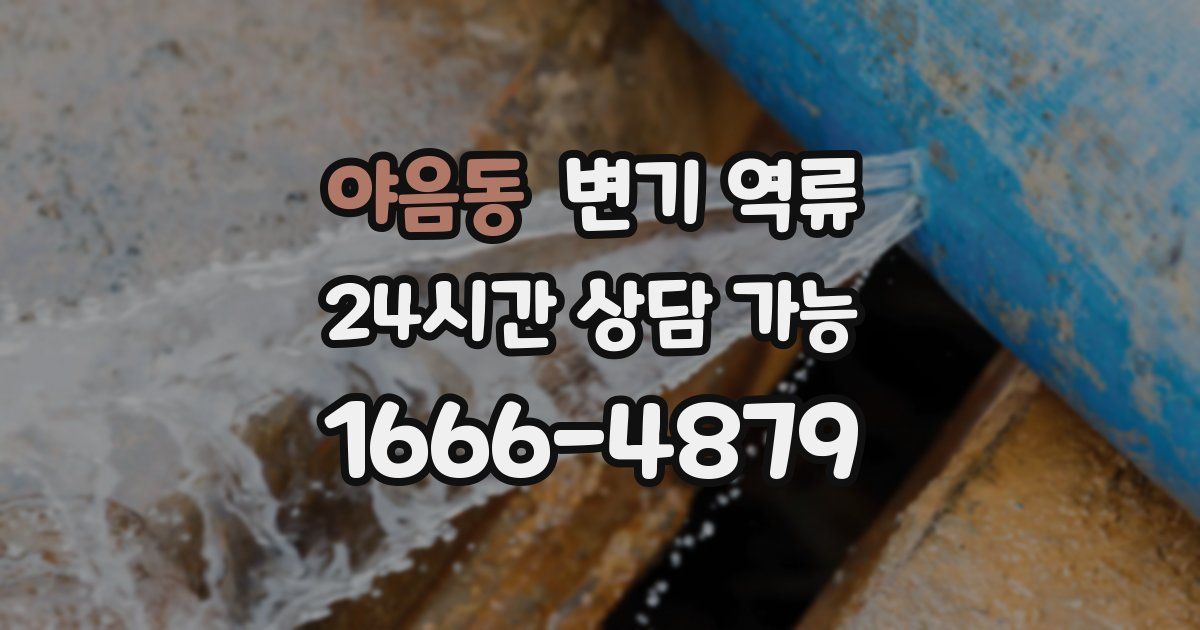야음동 변기 역류