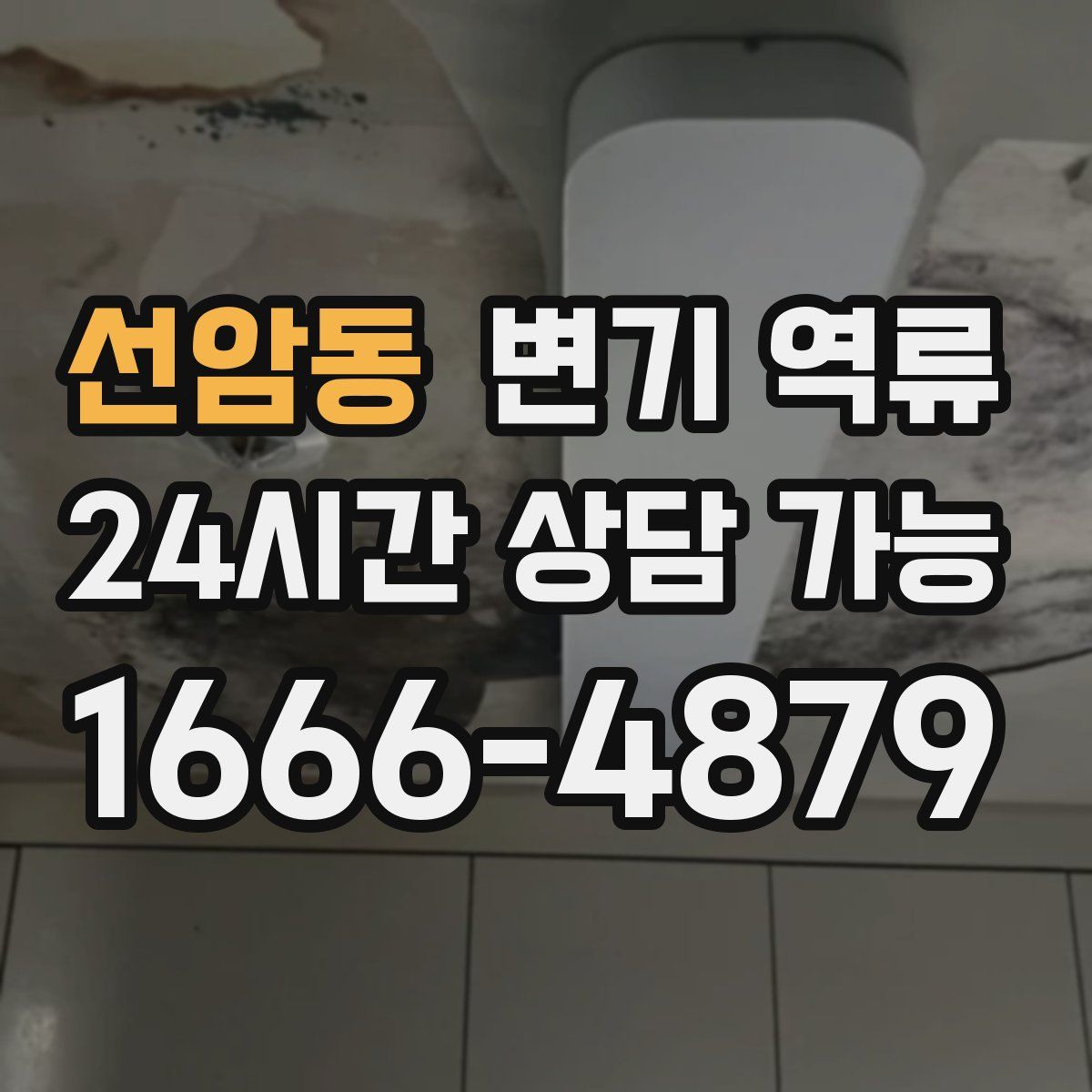 선암동 변기 역류