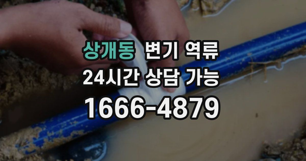 상개동 변기 역류