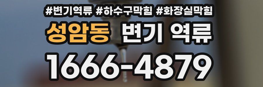 성암동 변기 역류