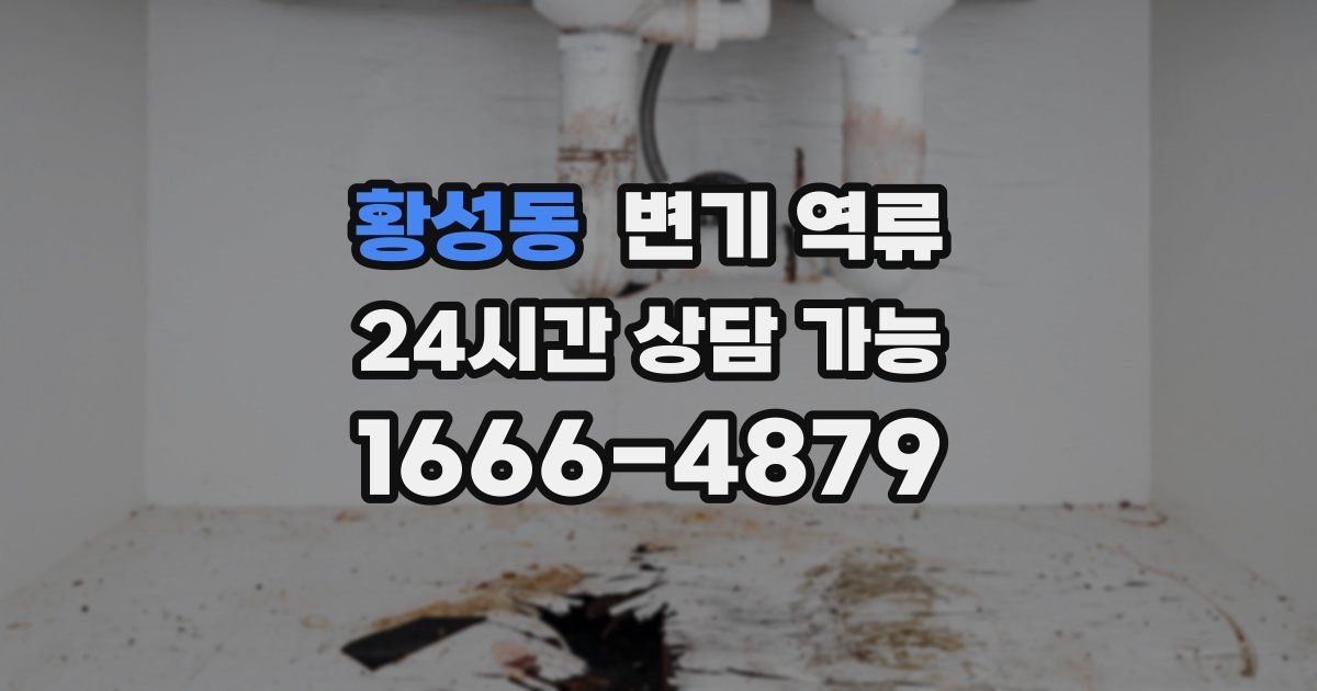 황성동 변기 역류