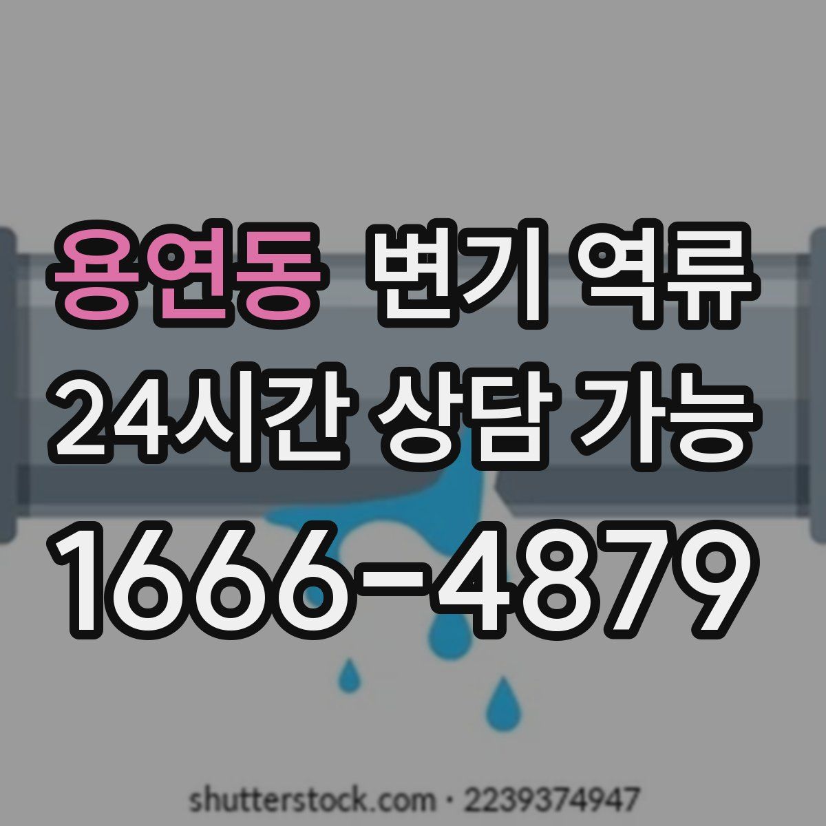 용연동 변기 역류