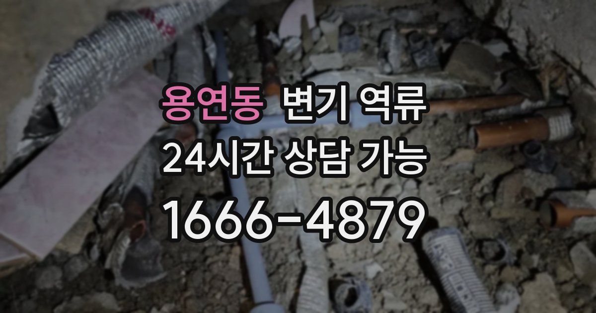 용연동 변기 역류