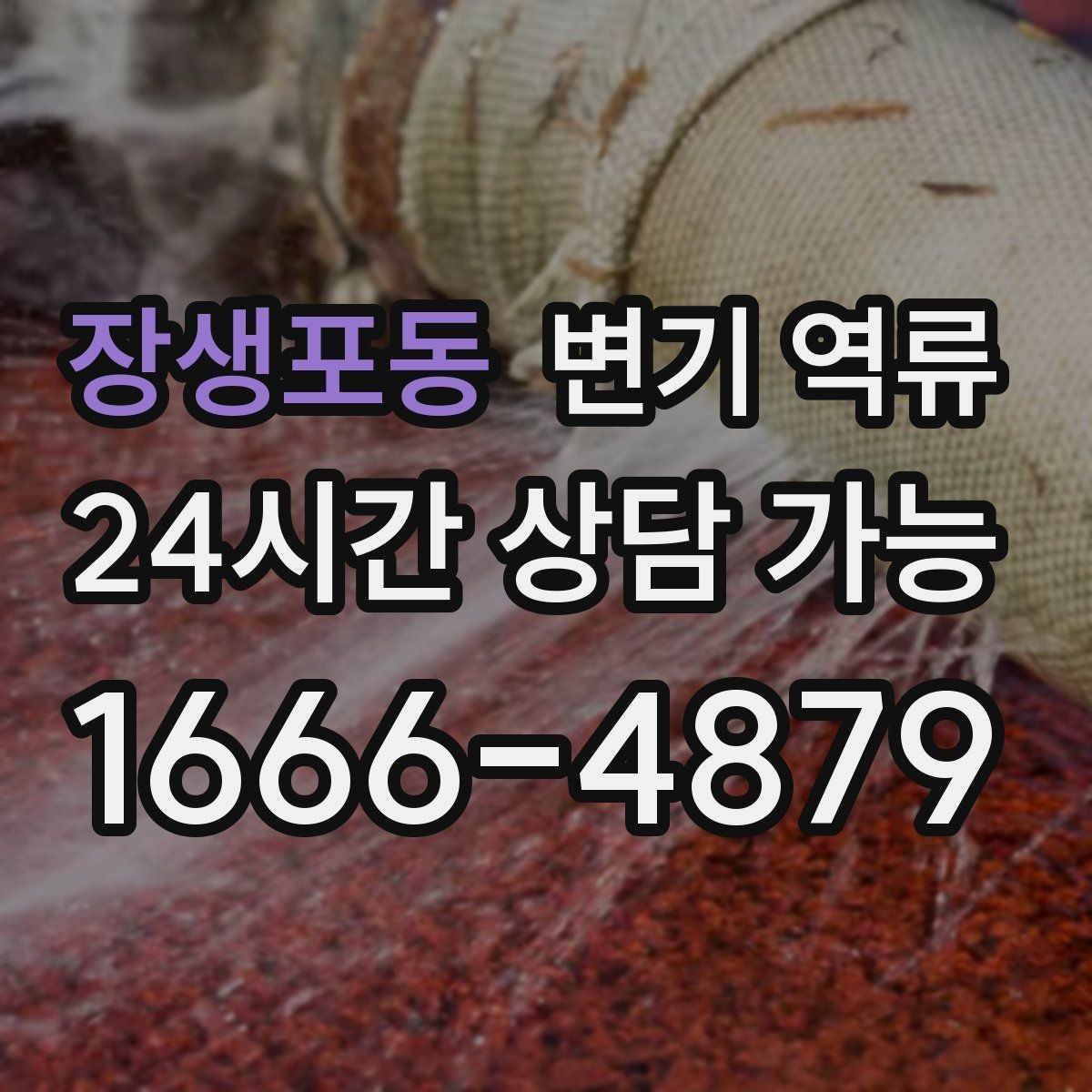 장생포동 변기 역류 바닥으로 흐르기 시작했을 때 우선 조치 순서