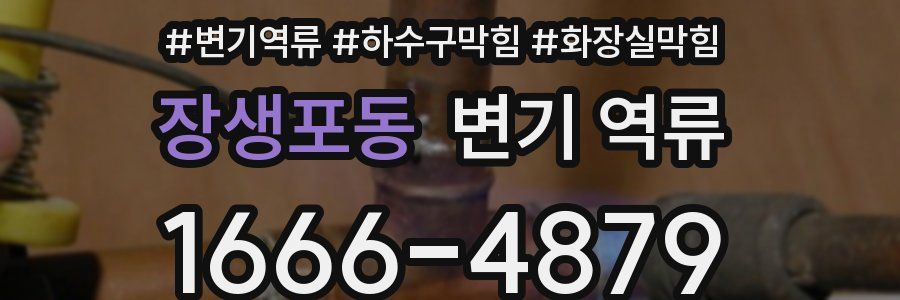 장생포동 변기 역류