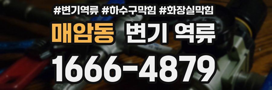 매암동 변기 역류