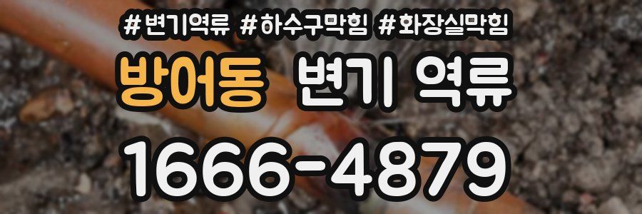 방어동 변기 역류