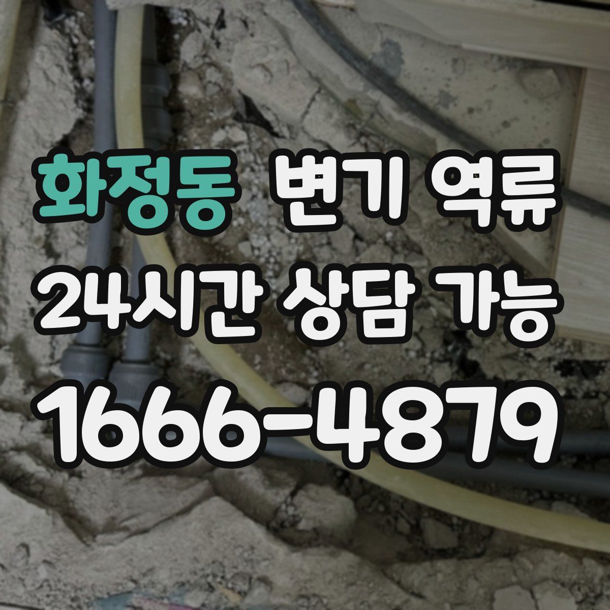 화정동 변기 역류