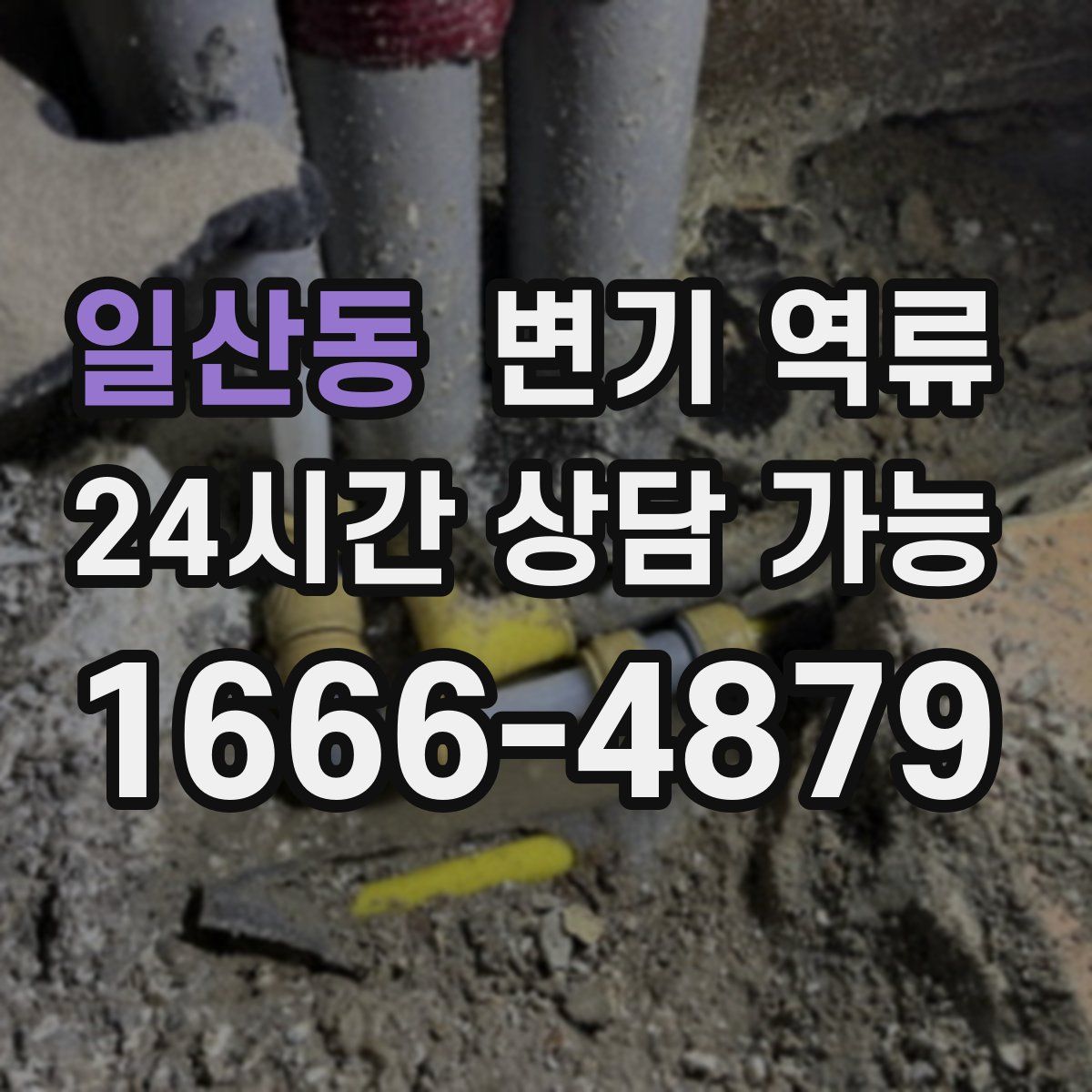 일산동 변기 역류