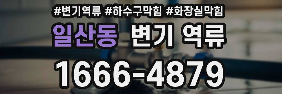 일산동 변기 역류