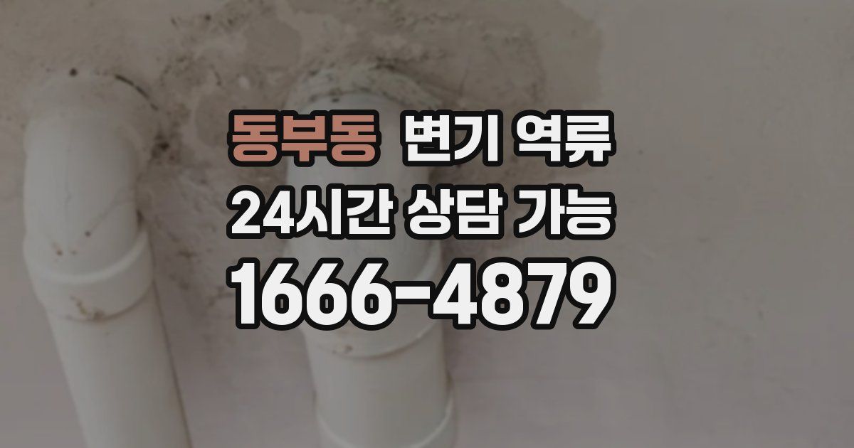 동부동 변기 역류