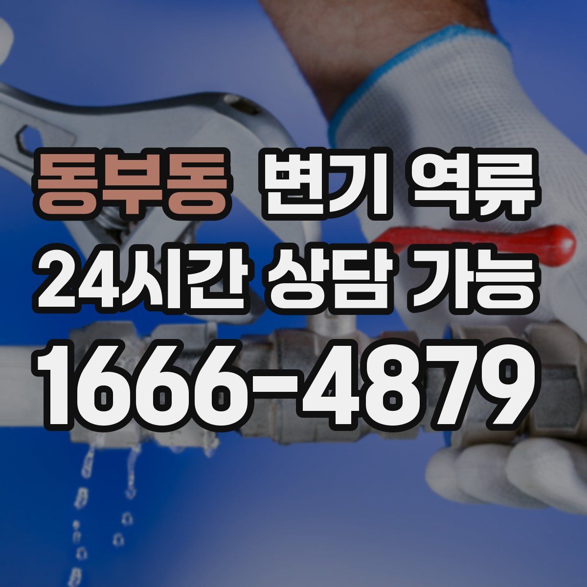 동부동 변기 역류