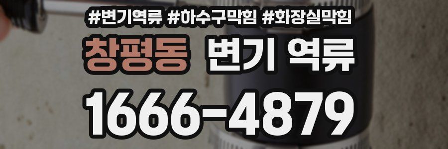 창평동 변기 역류