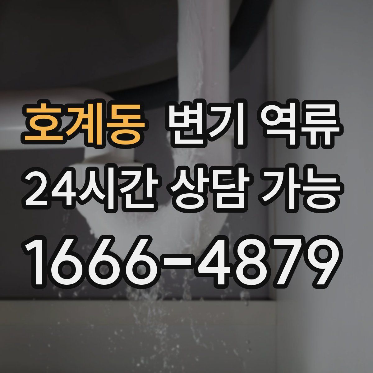 호계동 변기 역류