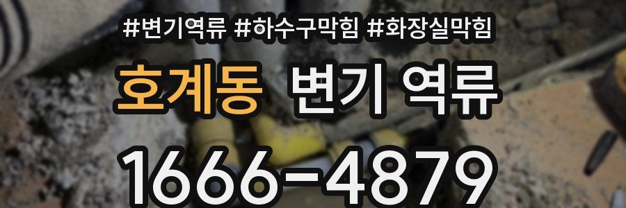 호계동 변기 역류