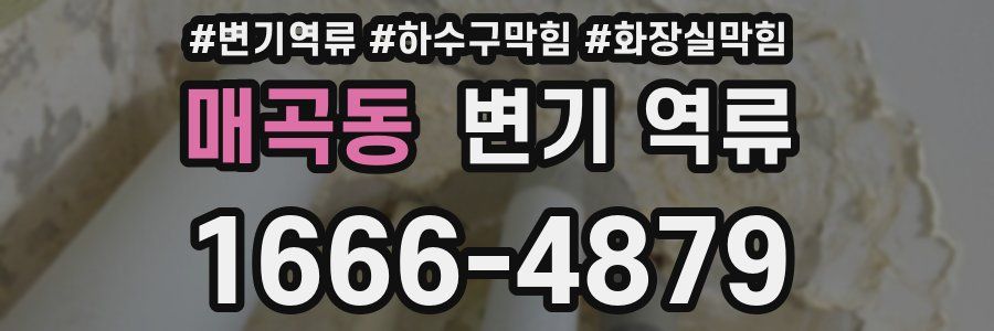 매곡동 변기 역류