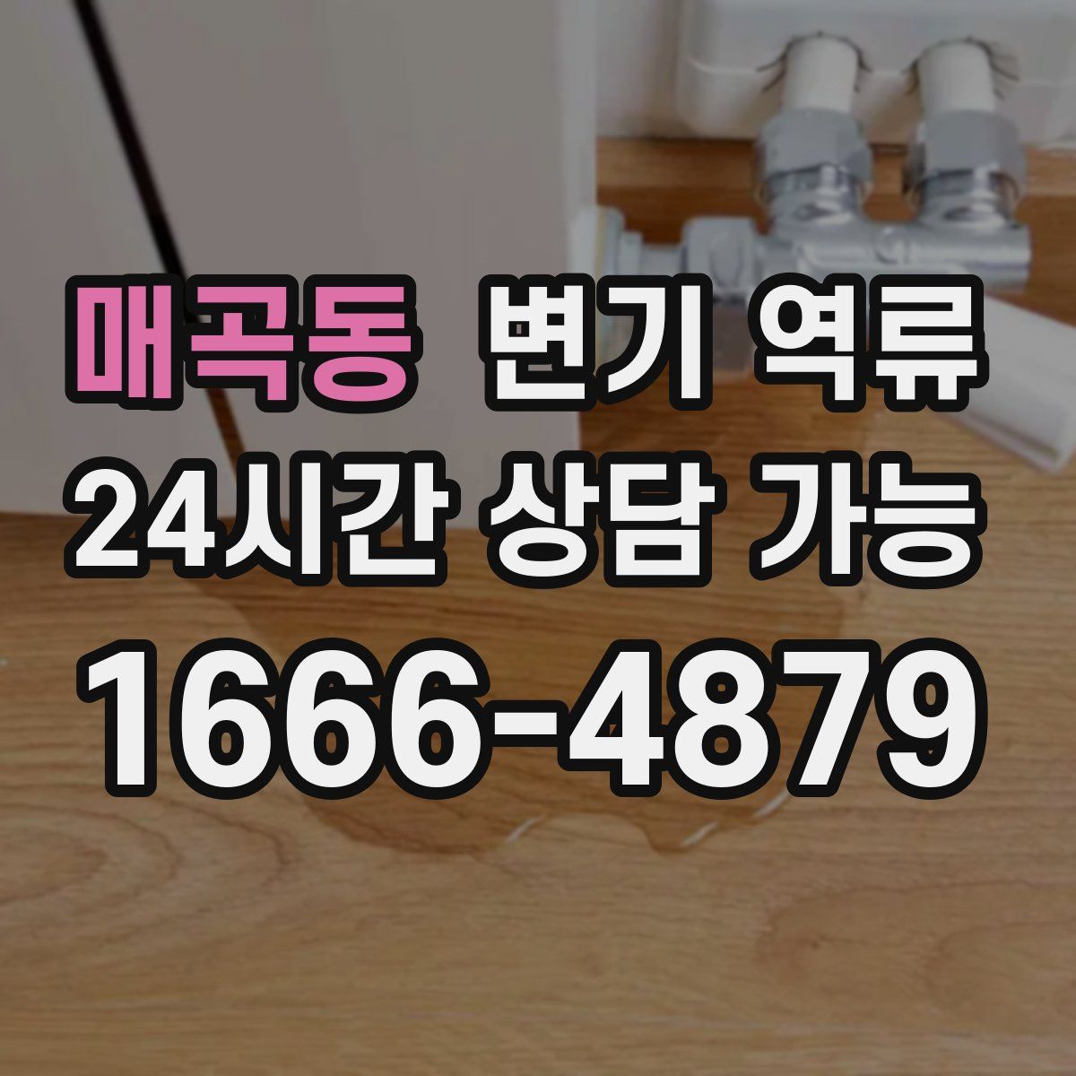 매곡동 변기 역류