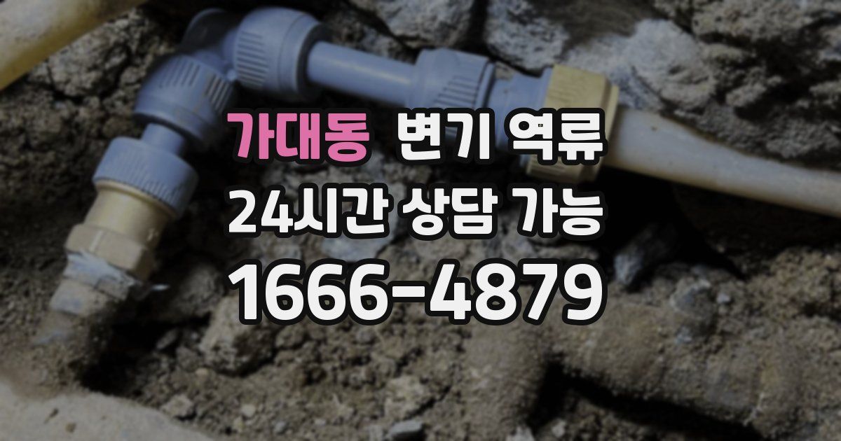 가대동 변기 역류