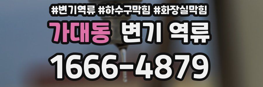 가대동 변기 역류