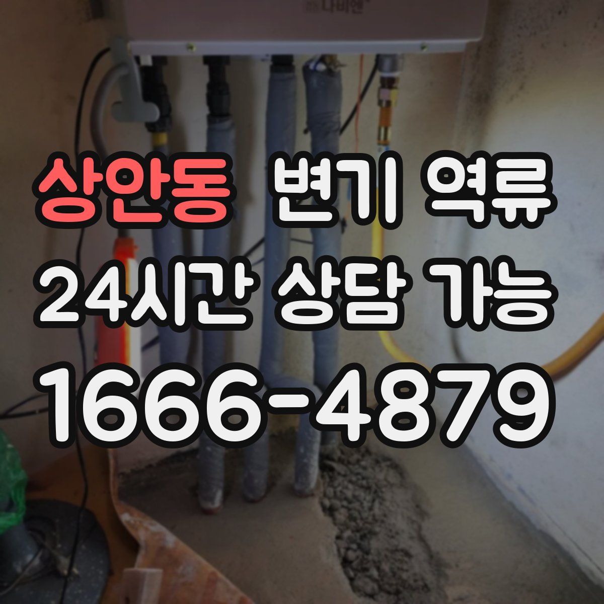 상안동 변기 역류