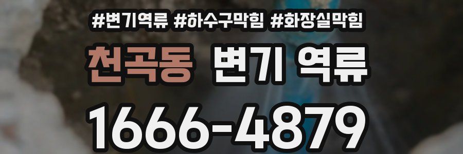 천곡동 변기 역류