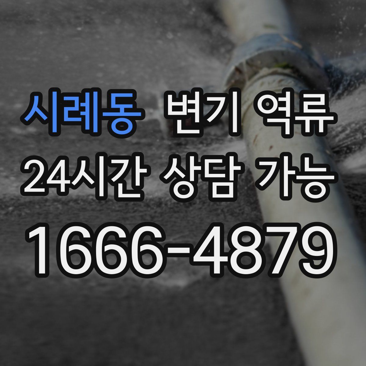 시례동 변기 역류