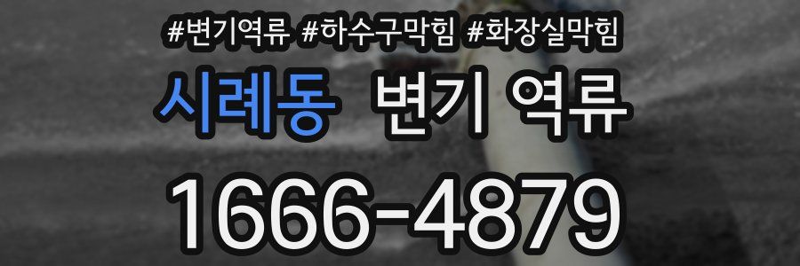 시례동 변기 역류