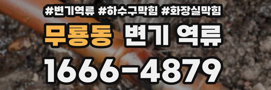 무룡동 변기 역류