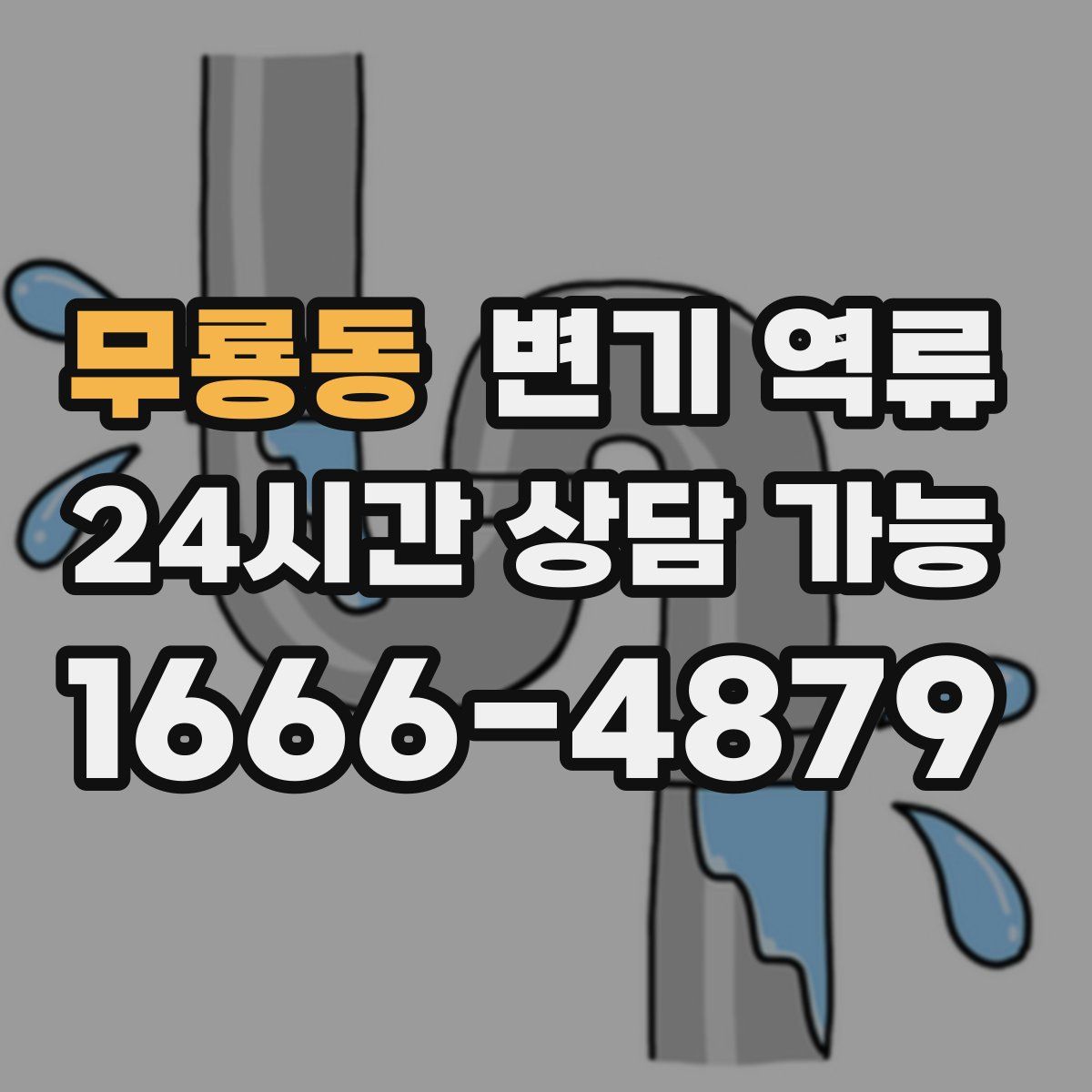 무룡동 변기 역류